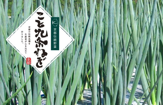 京都の「こと九条ねぎ」が日本青果物ブランドに認定