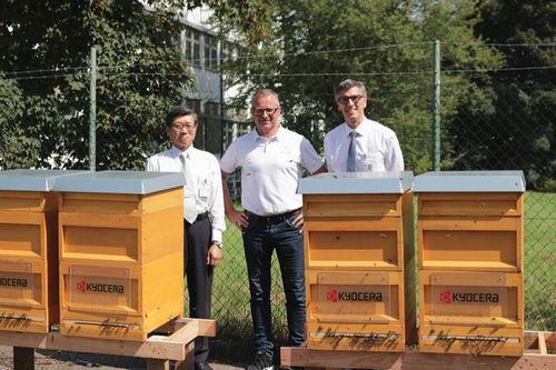 京セラの欧州拠点、ミツバチプロジェクトを開始。ドイツの事業所に6つの巣箱を設置
