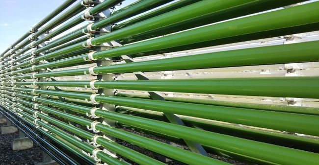 生スピルリナ藻類を販売するタベルモ、ブルネイの新工場が竣工