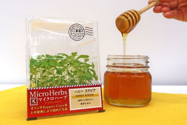 村上農園、「ハチミツみたいに甘い」「ナッツのような風味」マイクロハーブ・プレミアム版を販売開始