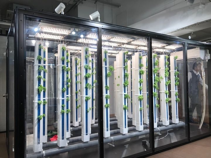 グリーンリバーHD、人工光型の縦型植物工場システムを開発。店舗併設型などを想定