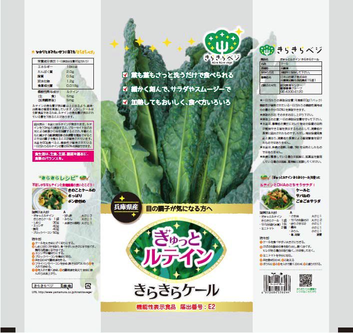 日本山村硝子、植物工場やさいのネット販売を開始。機能性表⽰⾷品「ケール」も販売