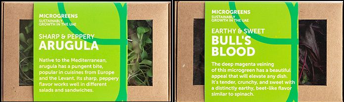 UAEドバイの植物工場、一般消費者向けにマイクログリーン・ベビーリーフを販売