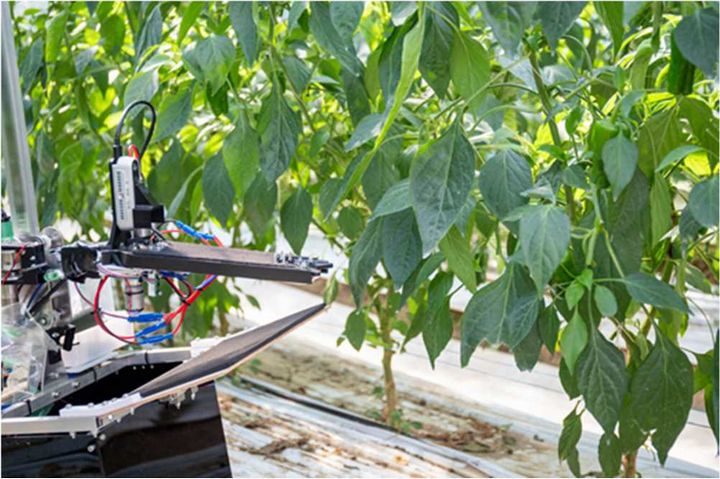 JXTG、農作物の自動収穫ロボットのAGRISTと協業開始