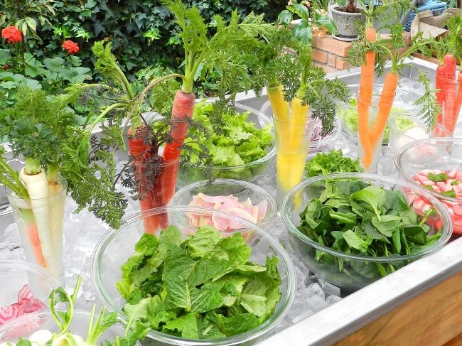 自家栽培した有機野菜のレストラン「スローフードキッチン レールサクレ」がオープン
