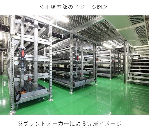 食品メーカーの昭和産業、自社工場を活用して植物工場を稼働