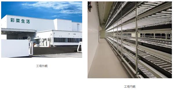 東京電力EP・芙蓉総合リース・ファームシップ、1日5万株が生産可能な植物工場プラントを稼働