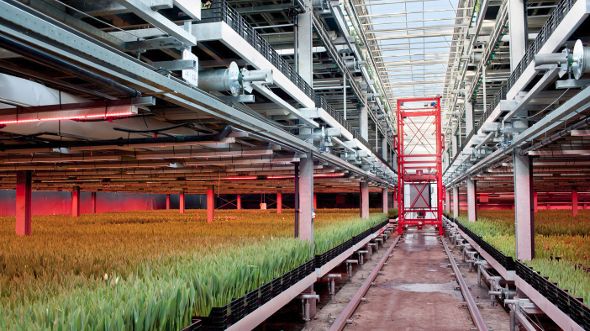 イノチオアグリ、オランダの施設園芸・植物工場メーカー大手・ボスマン社と業務提携