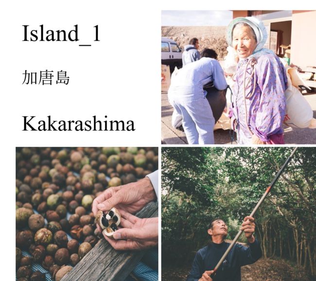 佐賀県に隣接する8つの島を、有機JAS認可の「オーガニックアイランド」へ