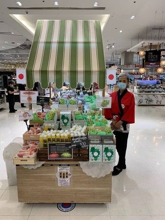 日本農業とGREENCOLLAR、日本品種「生食用ぶどう」を海外市場にて周年供給へ