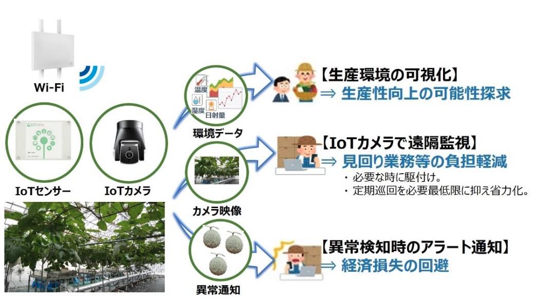 NTT東日本、IoTを活用したメロン水耕栽培による通年生産に関する実証実験を開始