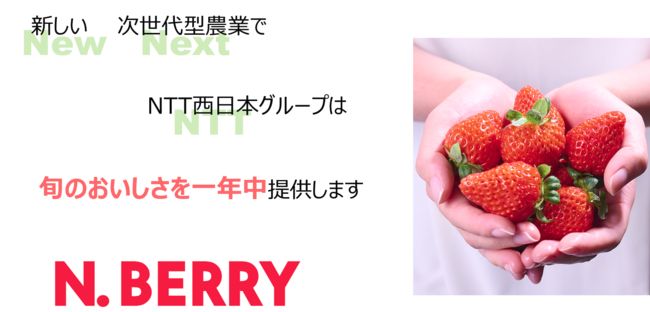 NTT西日本グループによるイチゴの植物工場「N.BERRY」の名称で販売開始
