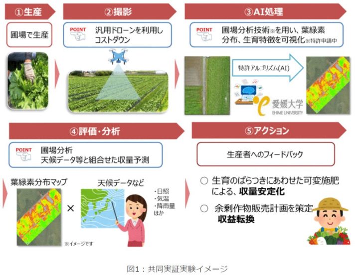 NTT西日本グループ、愛媛大などと野菜の生育状況を見える化。独自の圃場分析技術の開発へ