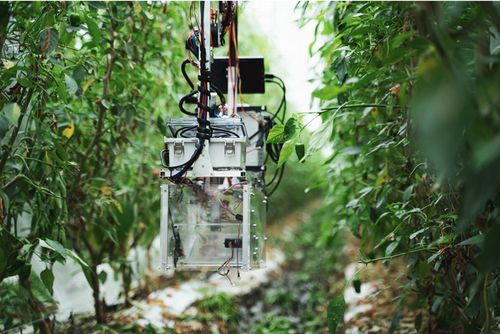 AGRIST、AIと自動収穫ロボットに最適化された自社農場・ビニールハウスを公開