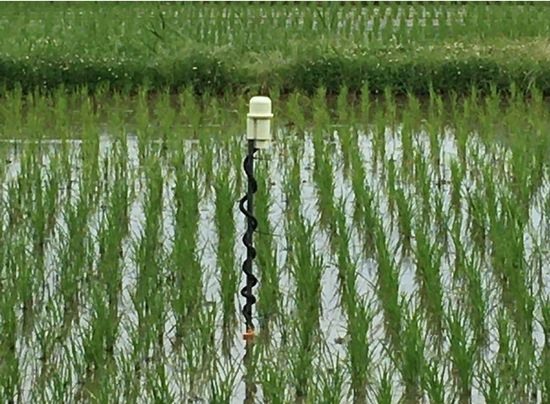 白鶴ファーム、酒米生産におけるICTを活用したスマート農業の実証実験へ
