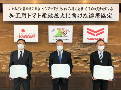 ヤンマーアグリジャパン、JAいわみざわ・カゴメと連携。加工用トマト産地拡大へ