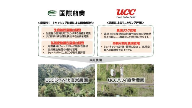 UCC上島珈琲と国際航業、衛星画像によるサステナブルな遠隔リモート管理の実証へ