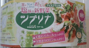 日本アドバンストアグリ、植物工場にて『アイスプラント』量産に乗り出す