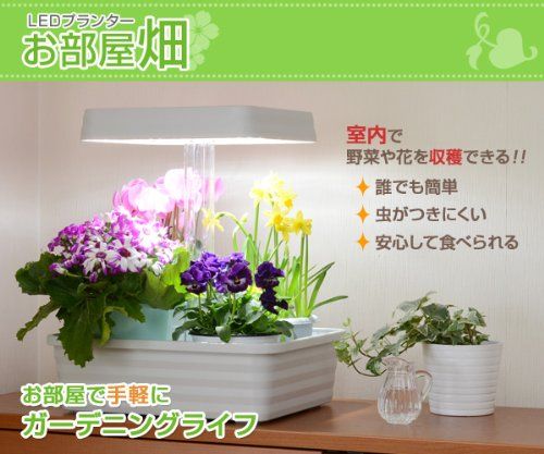 山善による家庭用・植物工場キット「LEDプランターお部屋畑」を販売