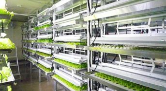 安部製作所、商業プラントとして青森県内初の完全人工光型植物工場をオープン