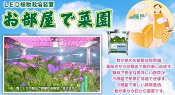 十和田技研、赤・青色ＬＥＤを採用した家庭用植物工場キット