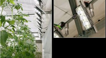 スタンレー電気、植物工場向けのLED照明を開発