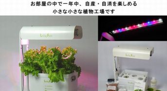 リビングファーム、LED搭載の植物工場キット『ココベジ・シリーズ』新発売