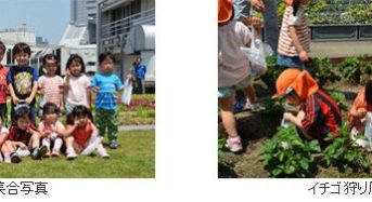 三菱重工グループの田町ビル、屋上緑化庭園に保育園児を招きイチゴ狩りを開催