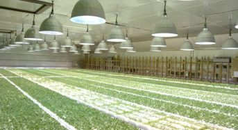 セコム工業、宮城県白石市にて植物工場産ハーブを活用した新たな商品開発へ