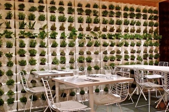 スペインでも店舗併設型植物工場タイプのレストランがオープン