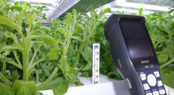 富士通、食・農クラウド「Akisai」植物工場向け生産管理ソリューションを強化