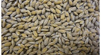 JFEスチール、直播稲作で使用される種子コーティング用プレミックス鉄粉「粉美人」を販売