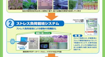 植物工場の垂直統合型事業による事業採算性を確保（日本アドバンストアグリ）