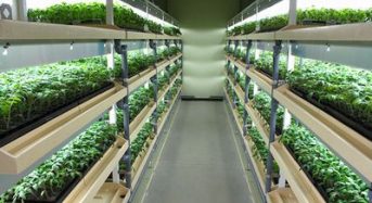 六次化ファンドによる投資、福島県にて植物工場による苗生産施設の整備へ