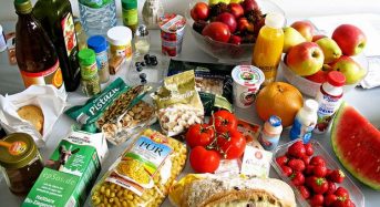 オランダによるオーガニック食品の輸出が急増。植物工場・施設野菜の輸出額は65億円へ