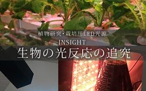 福井県の若狭東高が文科省のSPHに認定。植物工場などアグリ技術人材の育成へ