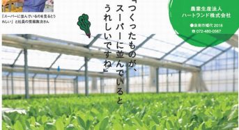 大阪府による農福連携サポート、水耕ハウス・植物工場などによる障害者雇用を推進