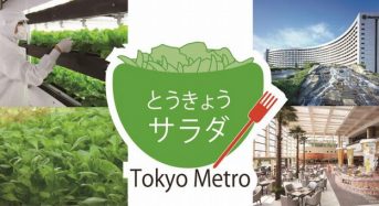 東京メトロによる植物工場野菜、浦安市のシェラトンホテルのビュッフェ・メニューに採用
