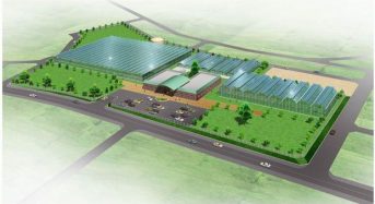 ヤンマー、岡山県倉敷市に水耕栽培・環境制御やバイオ技術開発拠点を設置