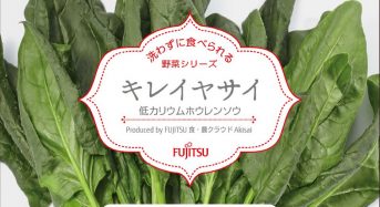 富士通の植物工場、一般品種ホウレンソウの低カリウム化・生サラダ商品として販売開始