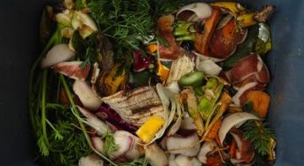 フランスにて食品廃棄を禁止する法律が可決