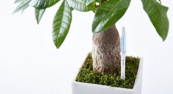 適切な水やりのタイミングを知らせる植物用水分計Susteeサスティーが2015年度グッドデザイン賞を受賞