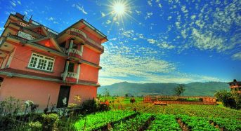 ネパール・カトマンズ市による都市型農業・屋上ファームの普及、住民へのトレーニングも実施
