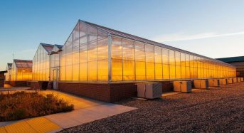 ノース・ダコタ州立大学が約40億円にて植物工場・研究施設を完成