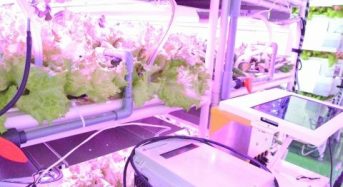 イーソルの環境モニタリングシステムが、LED植物工場で稼働開始