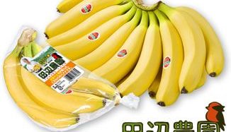 ＡＮＡフーズが独占契約する田辺農園バナナ・国内販売開始１０周年の記念レセプションを開催