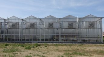 農業版シリコンバレー バイエル社が1200万ドルをかけて研究用の大型植物工場を建設