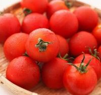 タケエイ、銀座農園と資本提携し農業ビジネスに参入。高糖度トマト栽培もスタート
