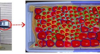 静岡県農林技術研究所が画像処理装置の開発により、イチゴのパック詰めを効率化