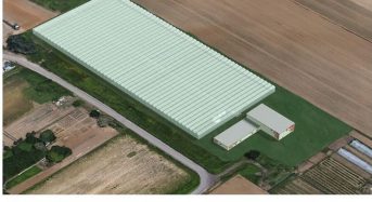 JFEエンジ、太陽光利用型植物工場を札幌市内に拡張。高糖度トマトの生産拡大へ